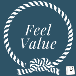 Feel Value.net Programme